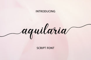 Aquilaria: Choosing a Script Font That Works as Hard as You Do