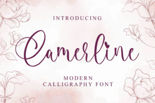 Camerline: Classic Typography with a Distinctive Modern Edge