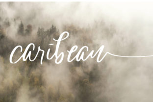 Caribean: A Raw, Authentic Script Font for Romantic Creative Projects