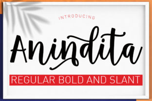 Making the Most of Anindita: A Playful Script That Adds Heart to Your Designs